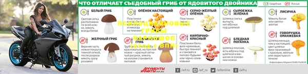 трава Липки