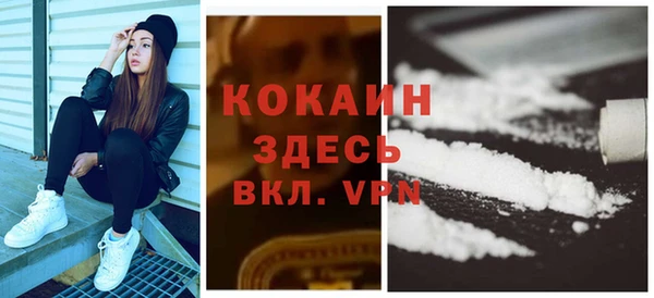 крисы Магадан