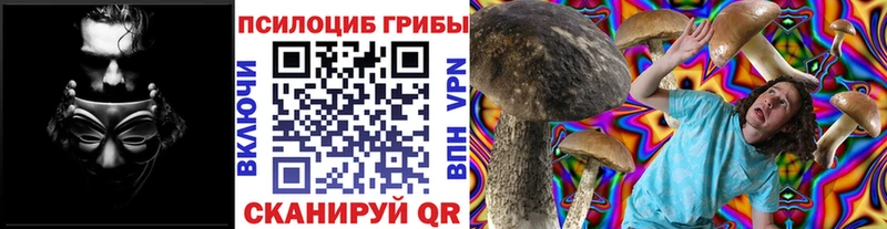Галлюциногенные грибы MAGIC MUSHROOMS  Порхов 
